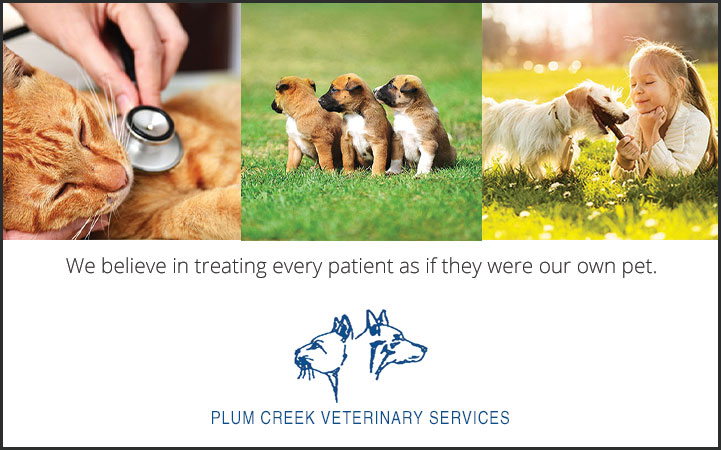 PLUM CREEK VETERINARY SERVICES