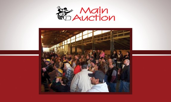 MAIN AUCTION