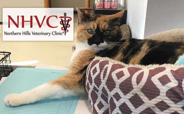 NORTHERN HILLS VETERINARY CLINIC