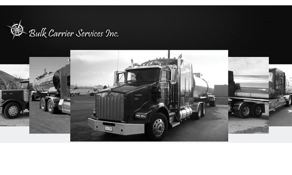 BULK CARRIER SERVICES, INC.