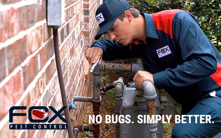 Learn more about FOX PEST CONTROL