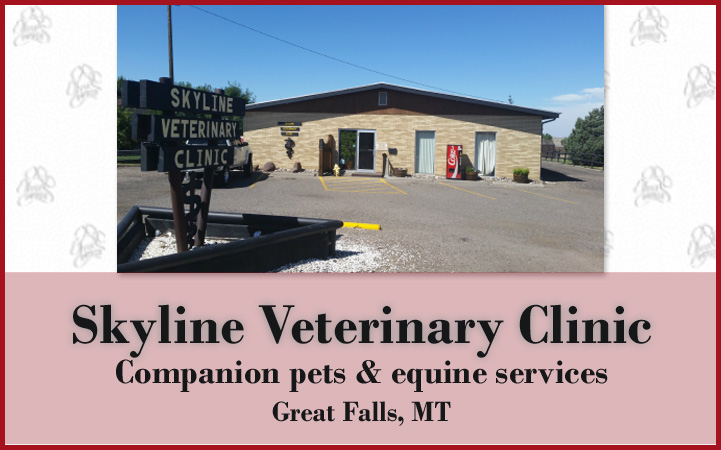 SKYLINE VETERINARY CLINIC