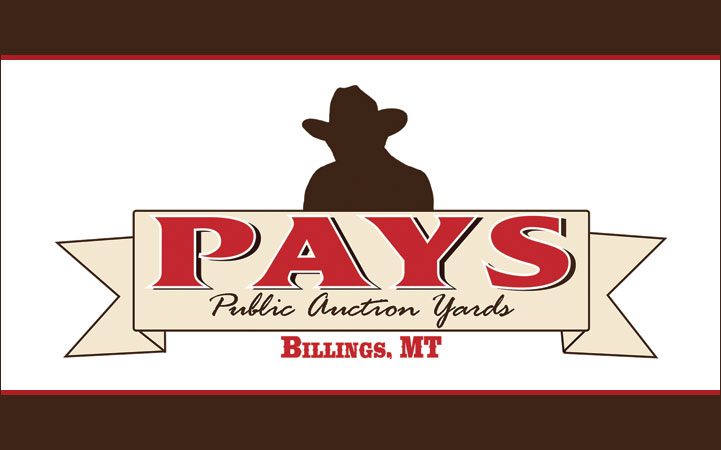 PUBLIC AUCTION YARDS
