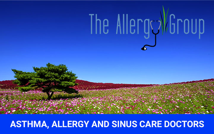 THE ALLERGY GROUP in Boise, ID