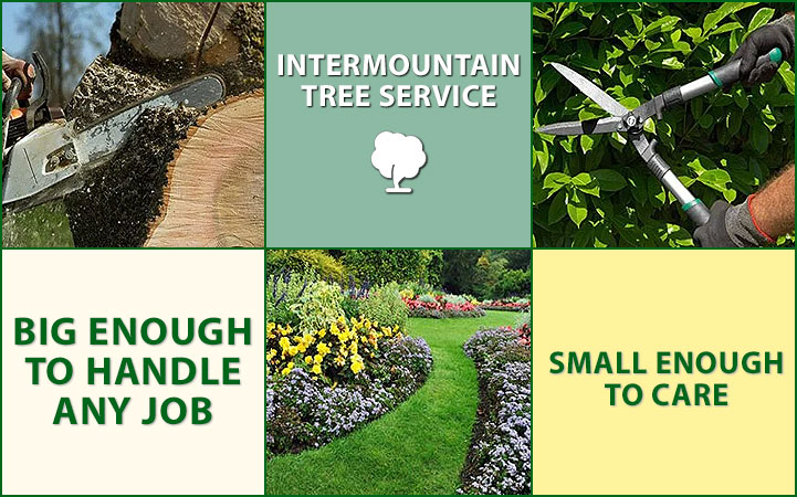 INTERMOUNTAIN TREE SERVICE