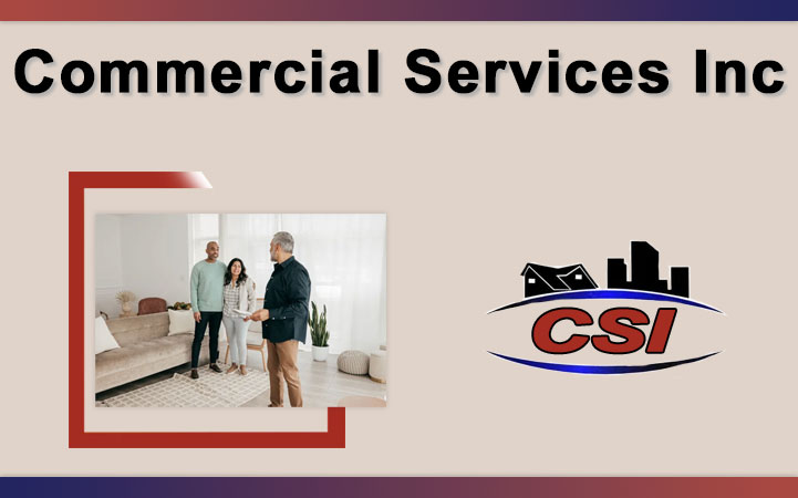 COMMERCIAL SERVICES