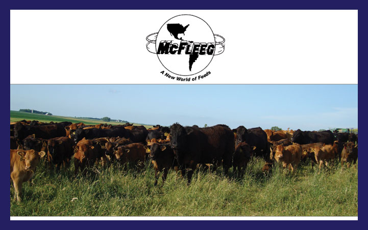 MCFLEEG FEEDS, INC.