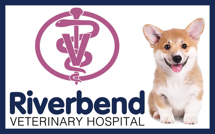 RIVERBEND VETERINARY HOSPITAL