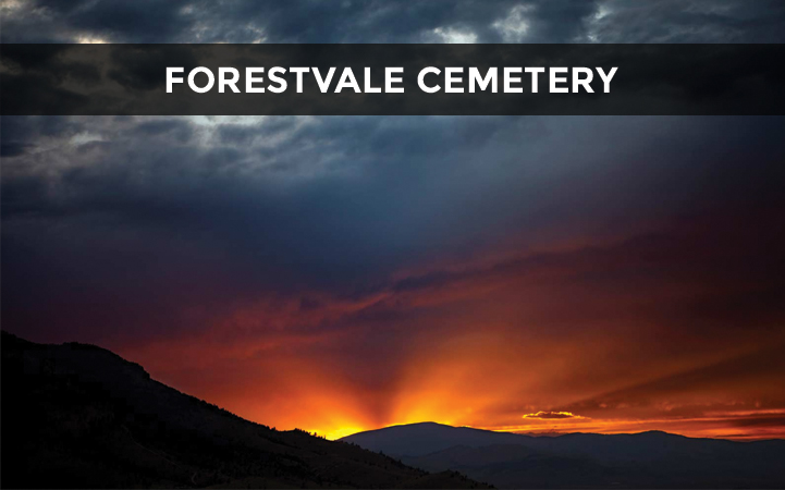FORESTVALE CEMETERY DISTRICT