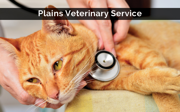 PLAINS VETERINARY SERVICE