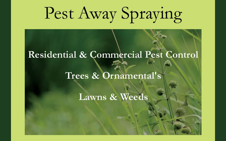 PEST AWAY SPRAYING