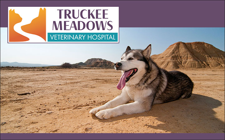 TRUCKEE MEADOWS VETERINARY HOSPITAL