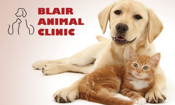 BLAIR ANIMAL CLINIC