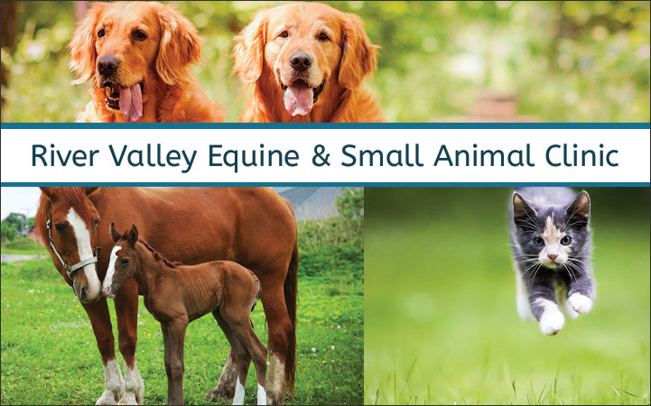 RIVER VALLEY EQUINE CLINIC & SMALL ANIMAL HOSPITAL