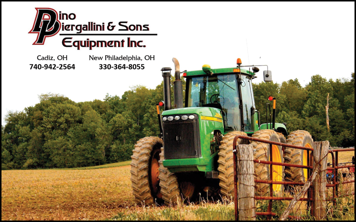 DINO PIERGALLINI & SONS EQUIPMENT INC.