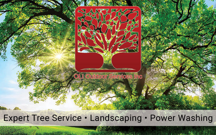 OLI OUTDOOR SERVICES INC