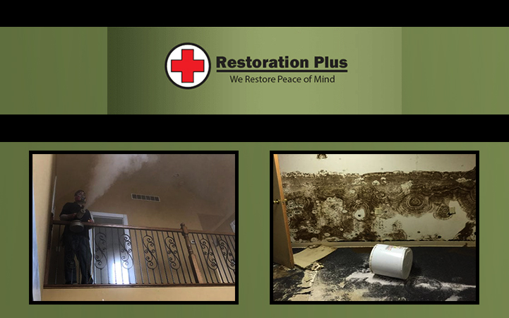RESTORATION PLUS