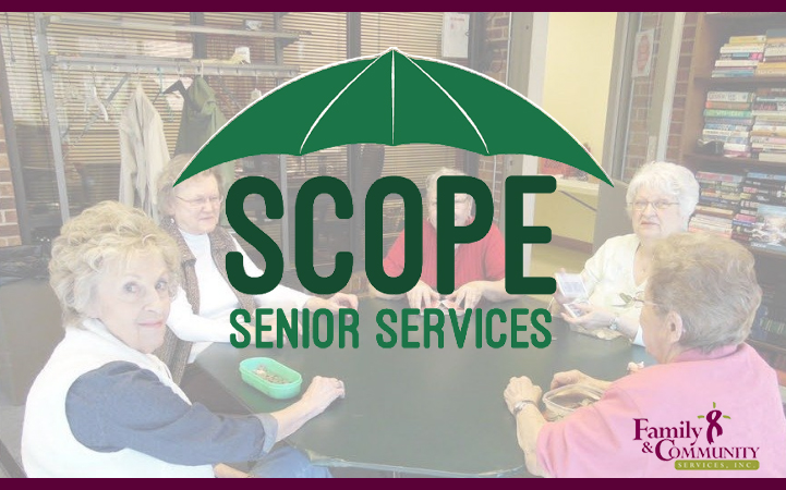 SCOPE INC