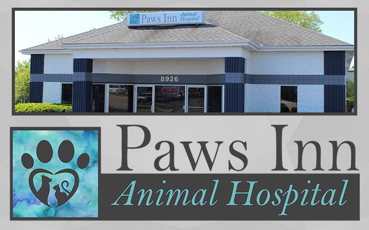 Learn more about PAWS INN ANIMAL HOSPITAL LLC