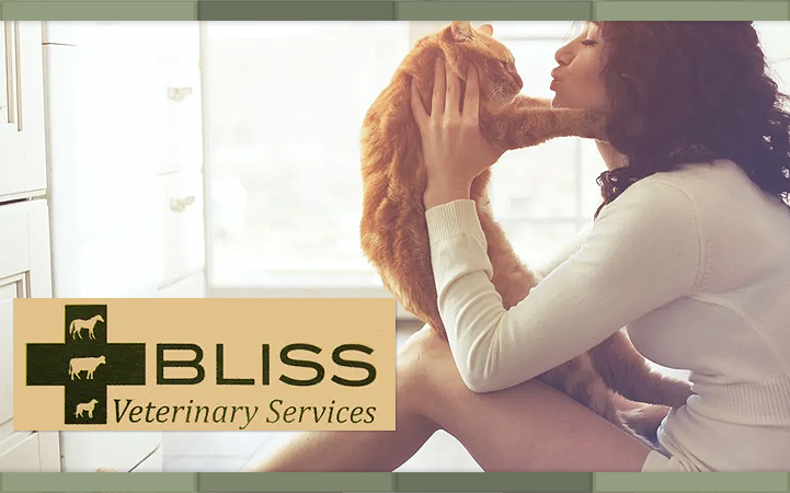 Learn more about BLISS VETERINARY SERVICES