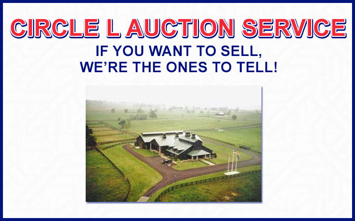 CIRCLE L AUCTION SERVICE