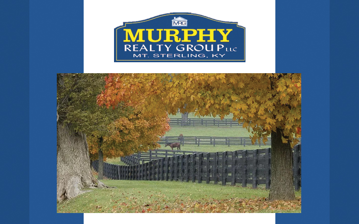 MURPHY REALTY GROUP