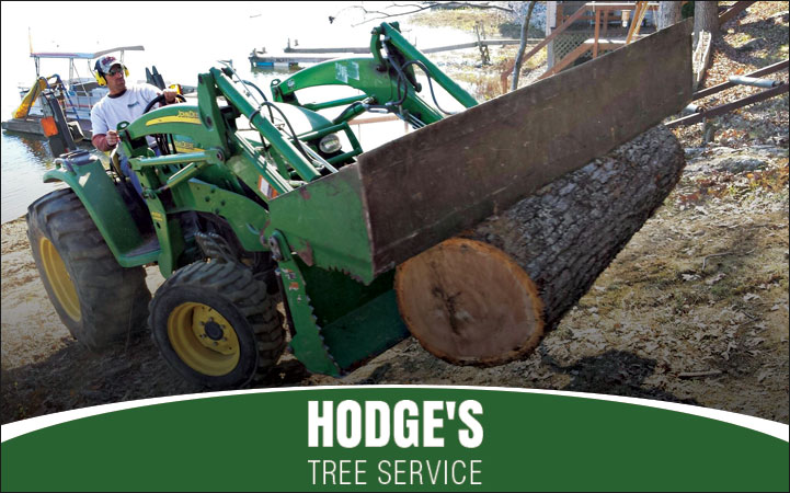 HODGE'S TREE SERVICE