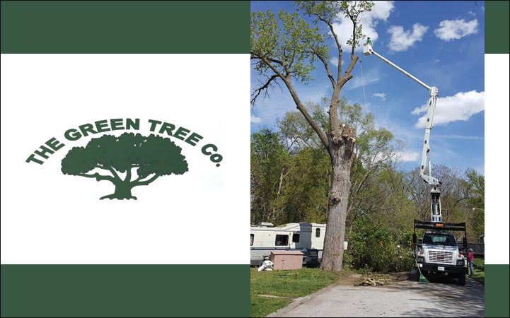 THE GREEN TREE COMPANY