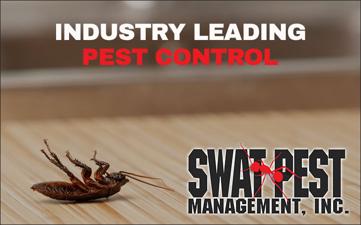 SWAT PEST MANAGEMENT INC