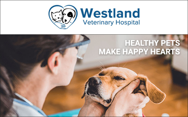 WESTLAND VETERINARY HOSPITAL