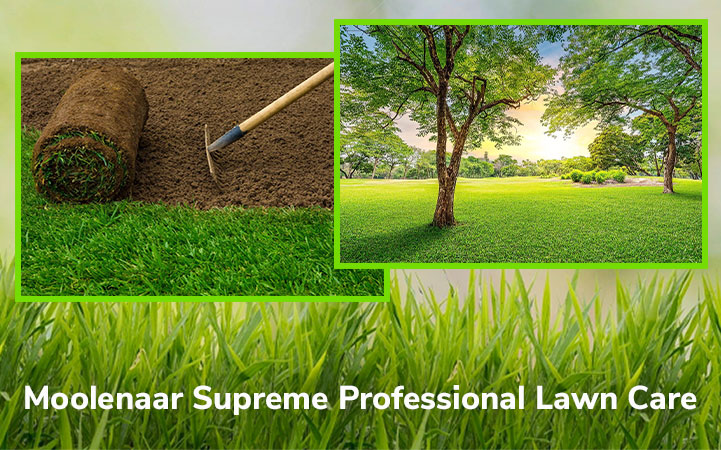 MOOLENAAR SUPREME PRO LAWN CARE