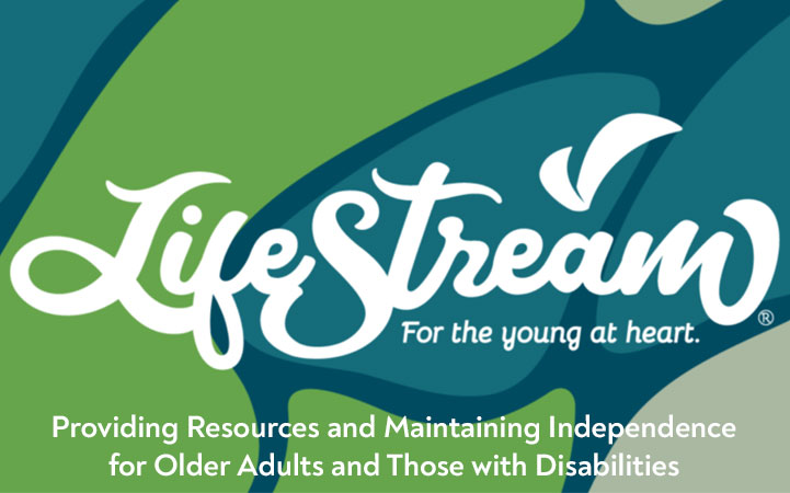 LIFESTREAM SERVICES INC
