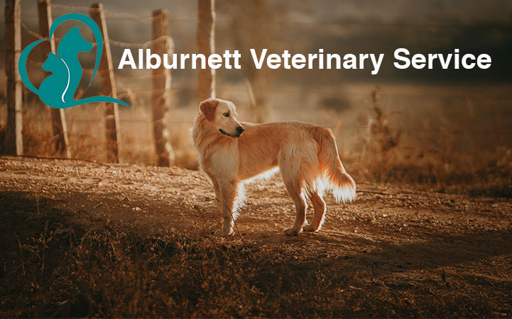 ALBURNETT VETERINARY SERVICE