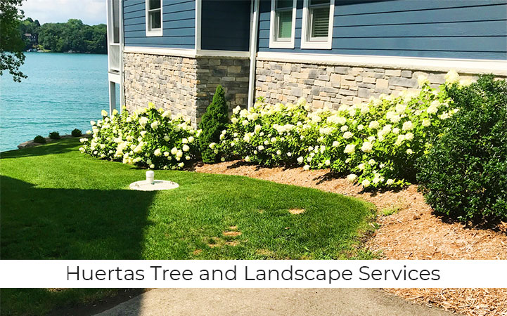 HUERTA'S TREE & LANDSCAPE SERVICE