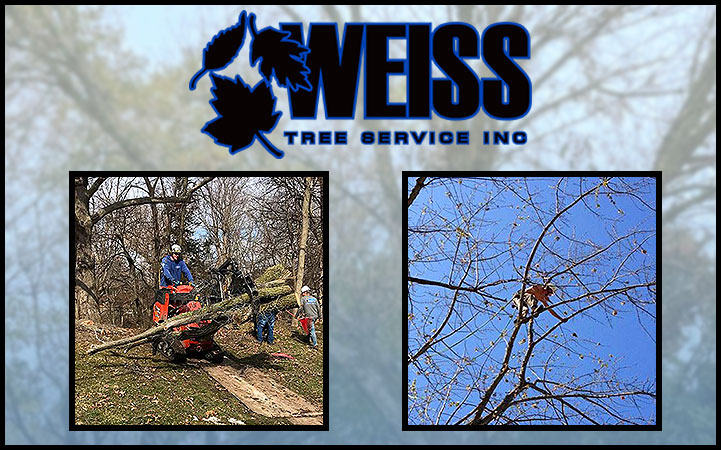 WEISS TREE SERVICE INC