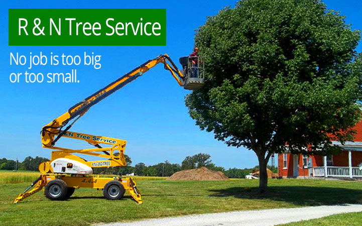 R & N TREE SERVICE