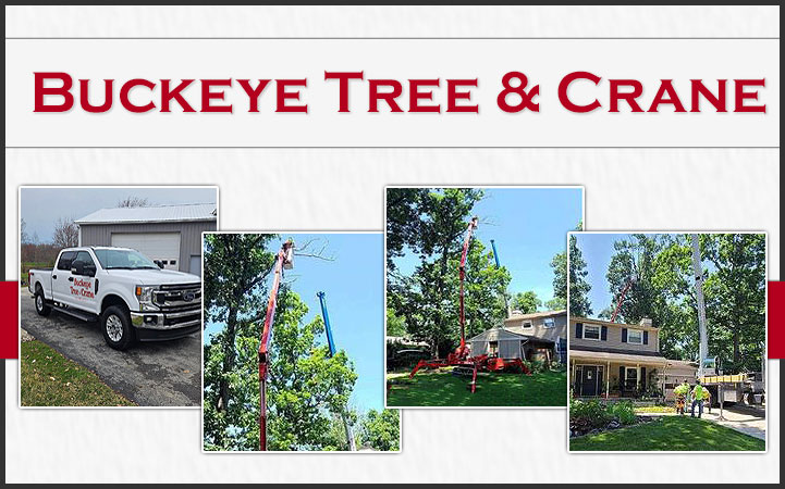 BUCKEYE TREE & CRANE SERVICE