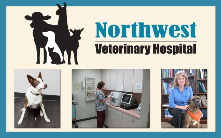 Learn more about NORTHWEST VETERINARY HOSPITAL INC