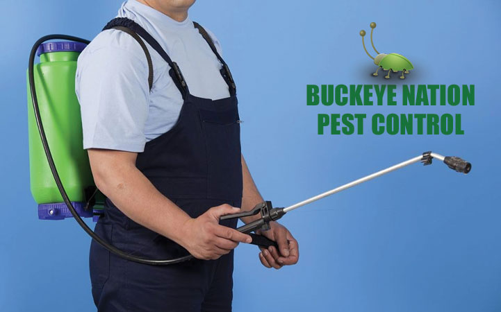 BUCKEYE NATION PEST CONTROL
