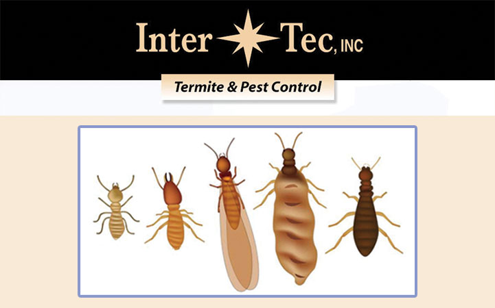 INTER TEC INC