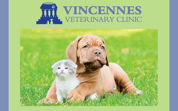 VINCENNES VETERINARY CLINIC