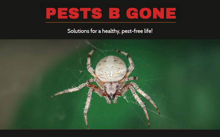 PESTS B GONE