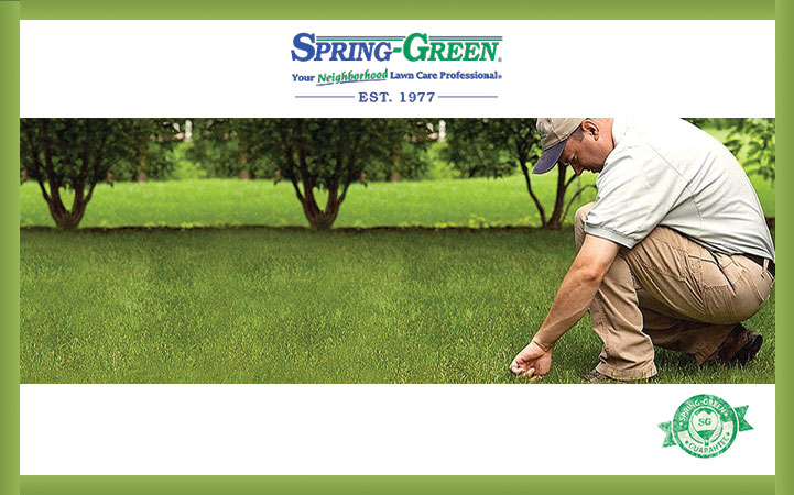 SPRING-GREEN LAWN CARE