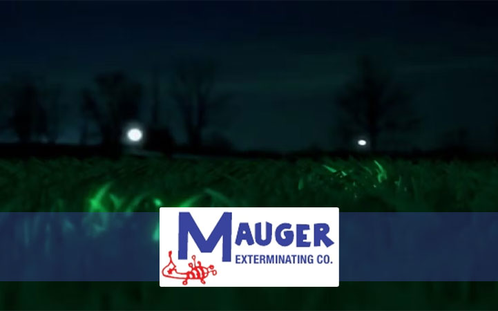 MAUGER EXTERMINATING COMPANY