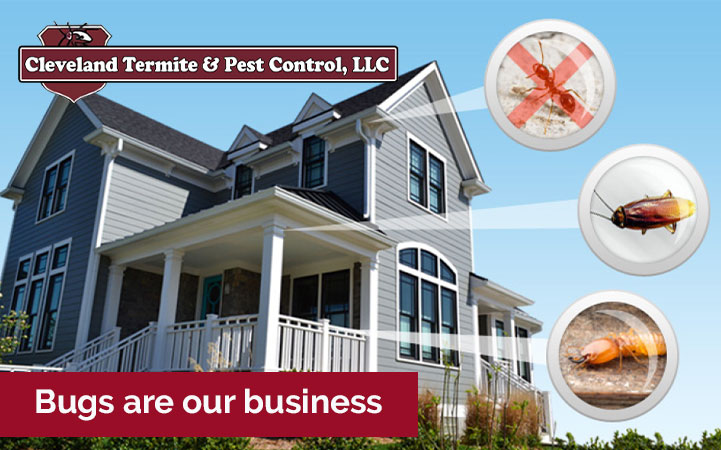 CLEVELAND TERMITE AND PEST CONTROL