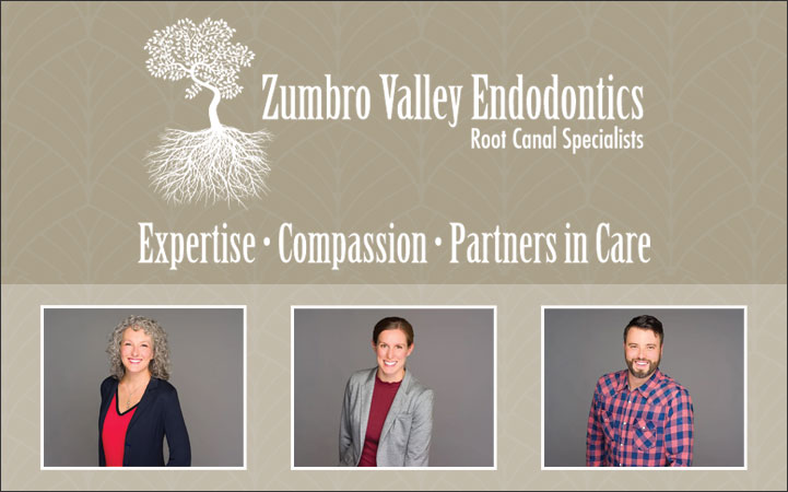 ZUMBRO VALLEY ENDODONTICS