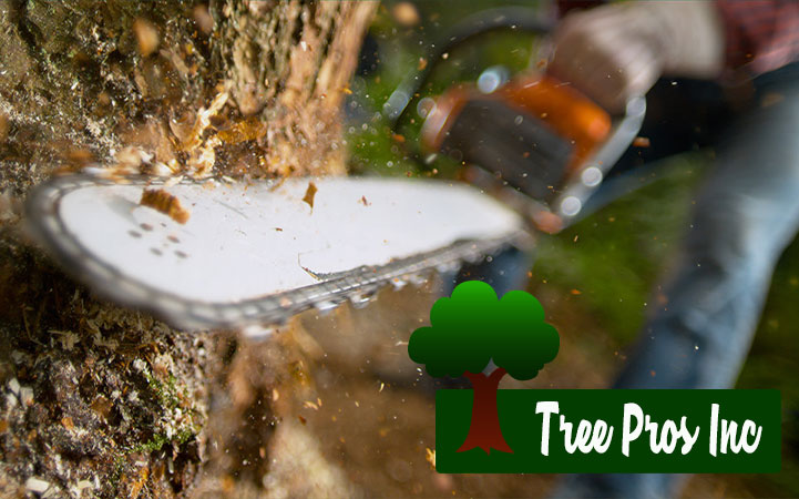 TREE PROS