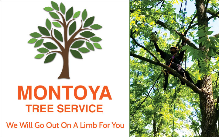MONTOYA TREE SERVICE