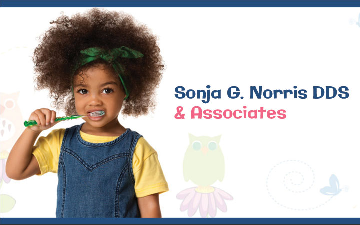 SONJA G NORRIS DDS PLLC
