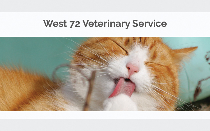 WEST 72 VETERINARY SERVICE